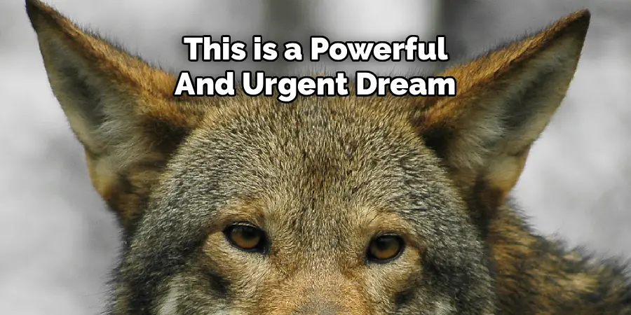 This is a Powerful And Urgent Dream