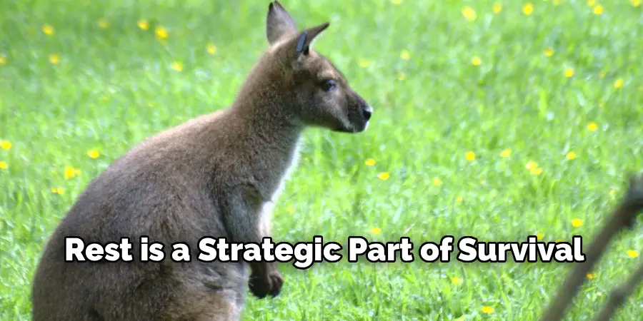 Rest is a Strategic Part of Survival