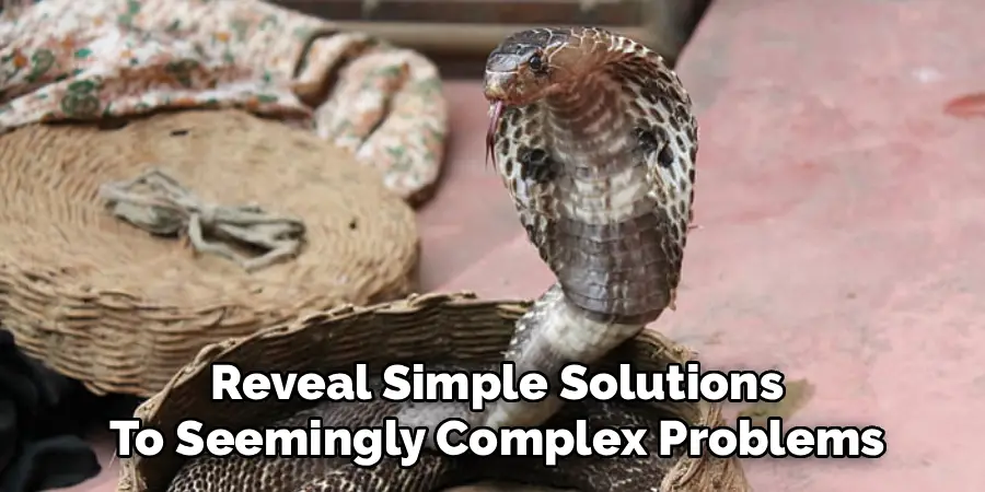 Reveal Simple Solutions
To Seemingly Complex Problems