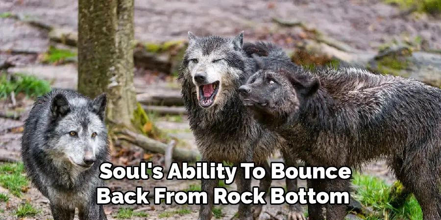 Soul's Ability
To Bounce Back From Rock Bottom