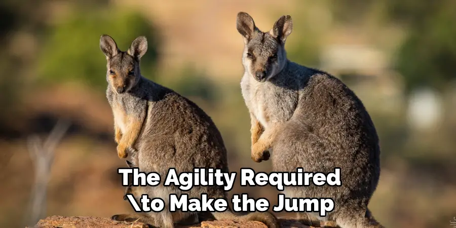 The Agility Required
\to Make the Jump