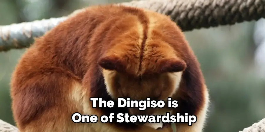 The Dingiso is
One of Stewardship