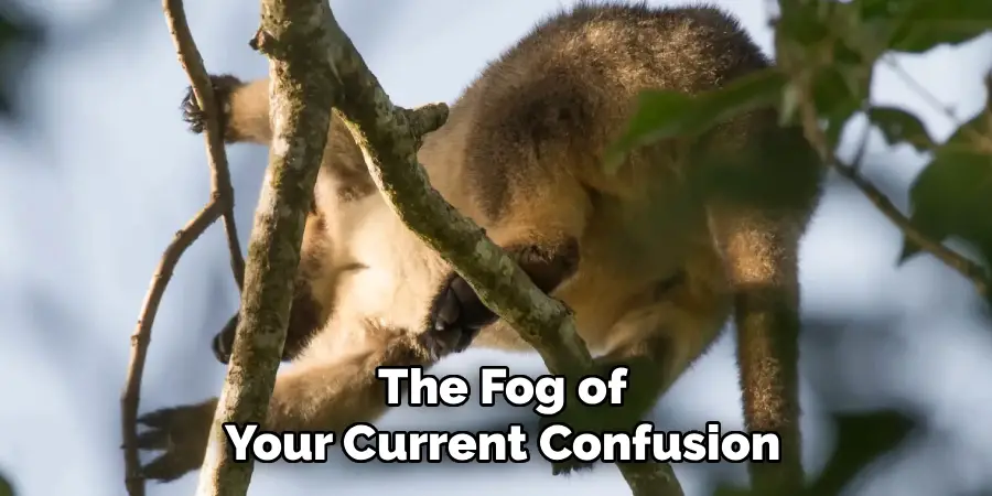 The Fog of
Your Current Confusion