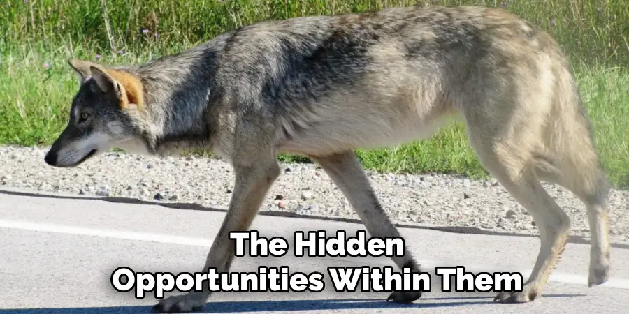 The Hidden
Opportunities Within Them