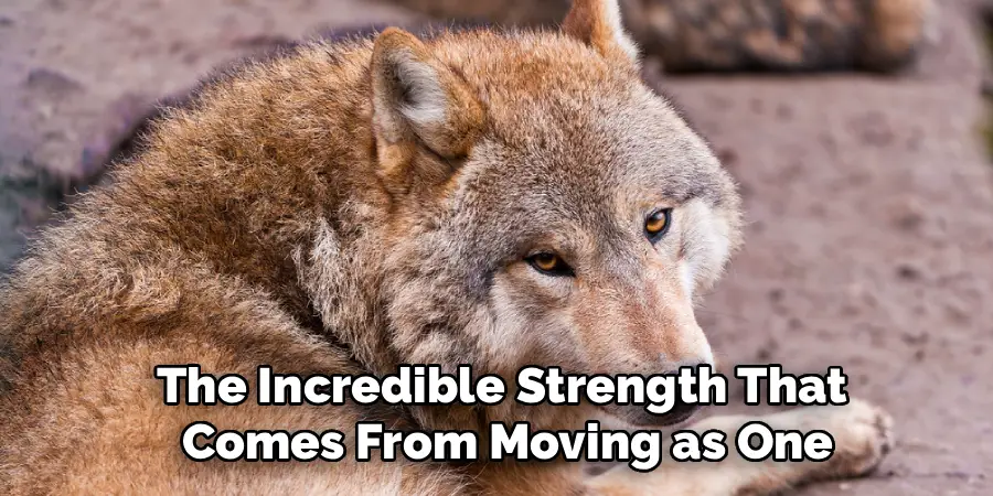 The Incredible Strength That
Comes From Moving as One