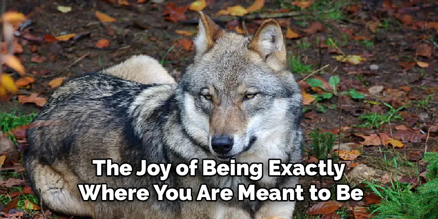 The Joy of Being Exactly
Where You Are Meant to Be