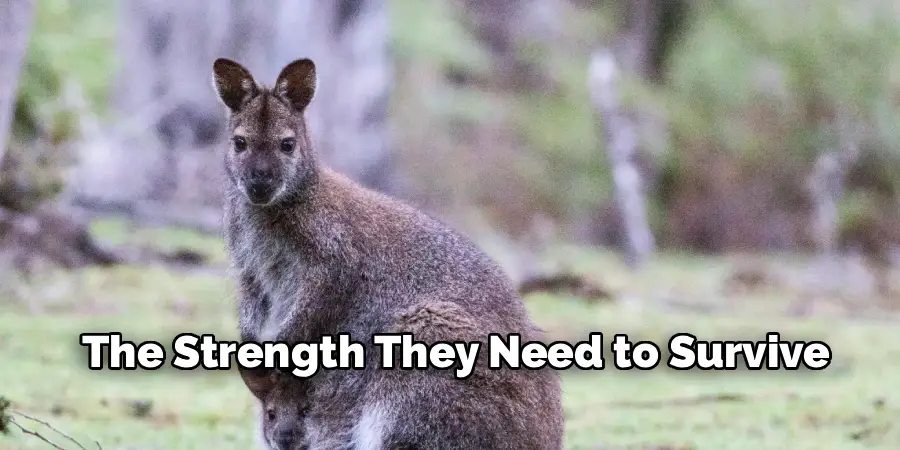 The Strength They Need to Survive