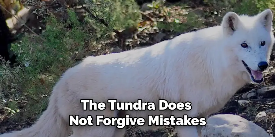 The Tundra Does 
Not Forgive Mistakes