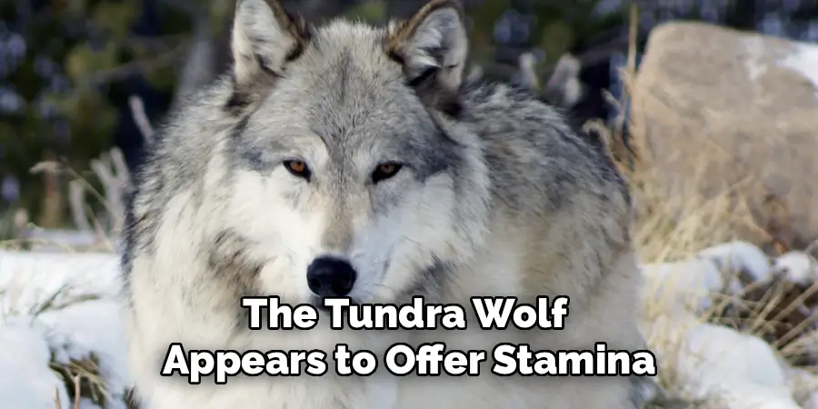 The Tundra Wolf 
Appears to Offer Stamina
