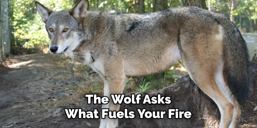 The Wolf Asks
What Fuels Your Fire