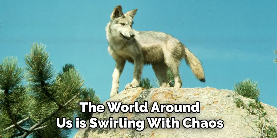 The World Around
Us is Swirling With Chaos