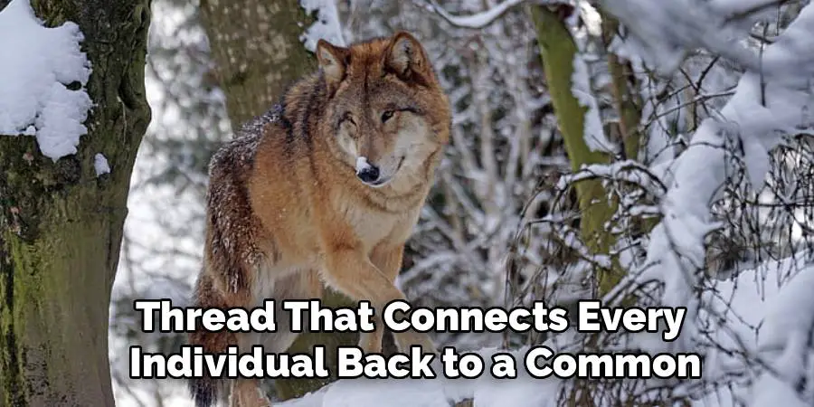 Thread That Connects Every
Individual Back to a Common