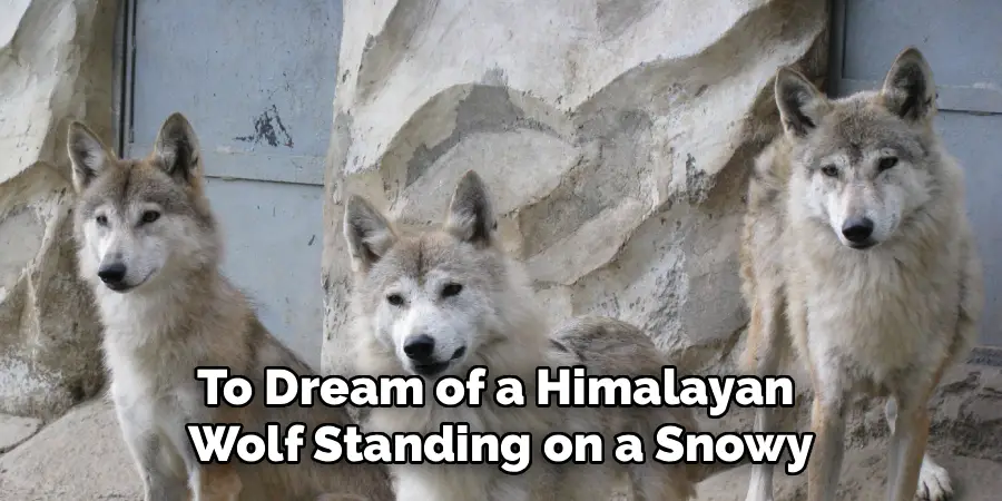 To Dream of a Himalayan 
Wolf Standing on a Snowy