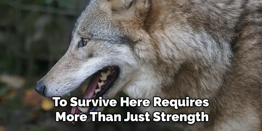 To Survive Here Requires
More Than Just Strength