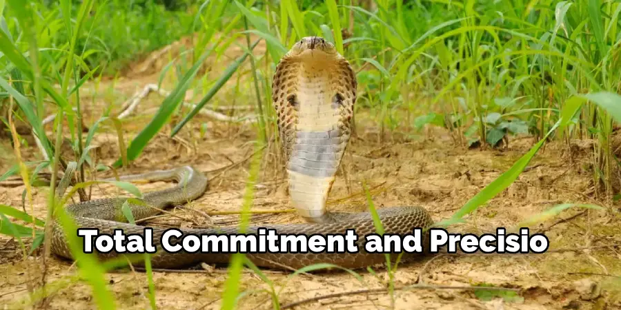 Total Commitment and Precisio