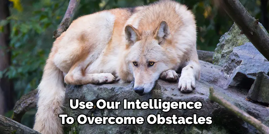 Use Our Intelligence
To Overcome Obstacles
