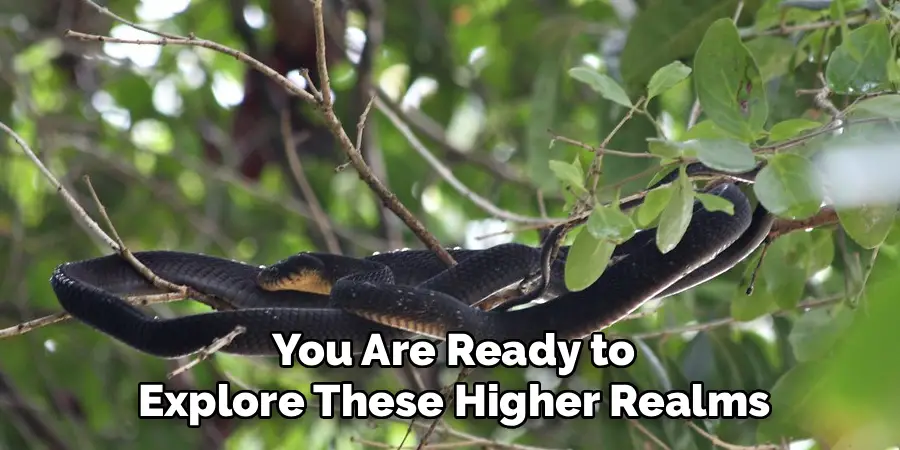 You Are Ready to
Explore These Higher Realms