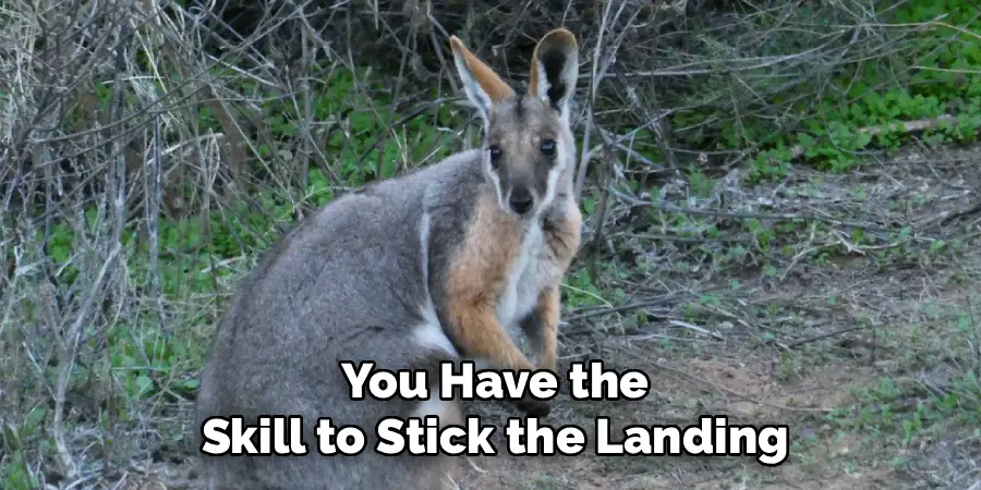 You Have the
Skill to Stick the Landing