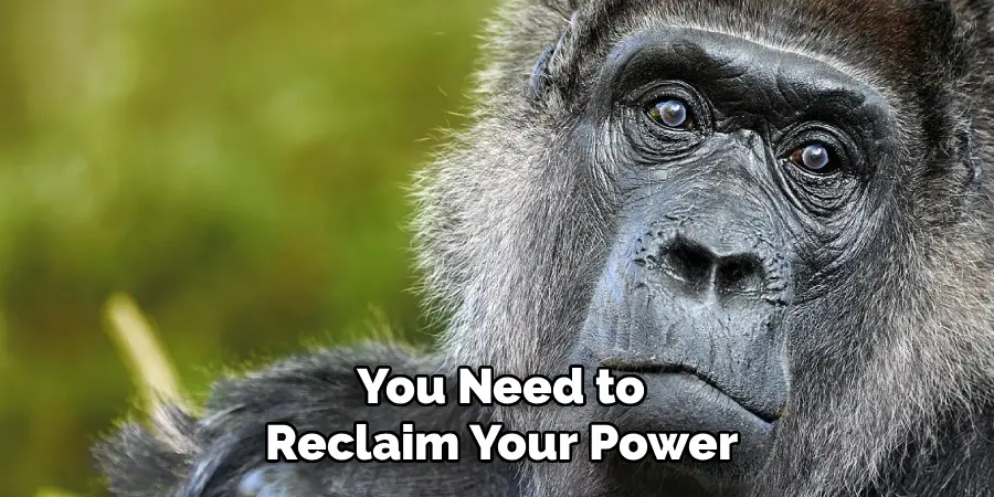 You Need to
Reclaim Your Power