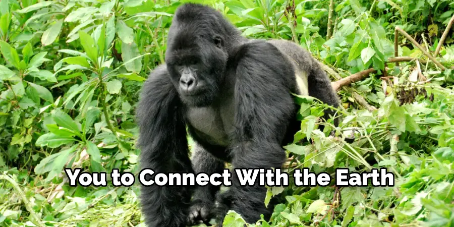 You to Connect With the Earth