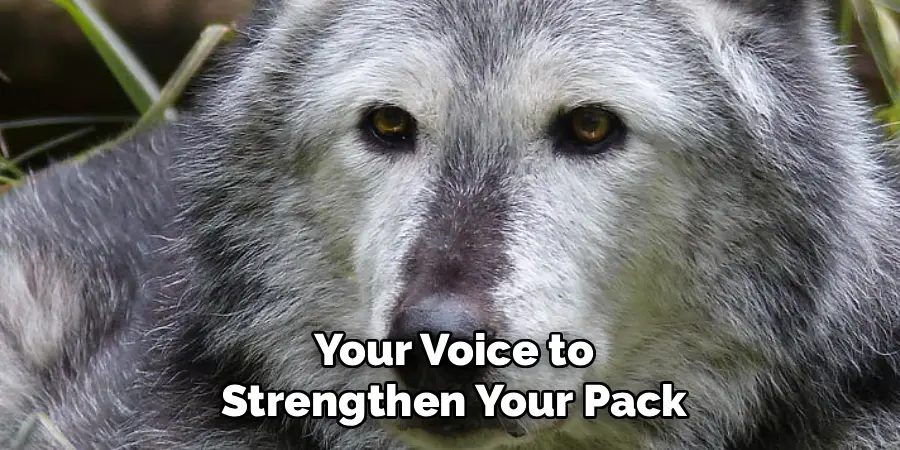 Your Voice to
Strengthen Your Pack