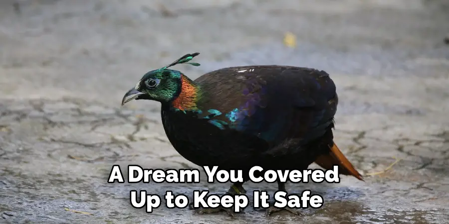 A Dream You Covered
Up to Keep It Safe