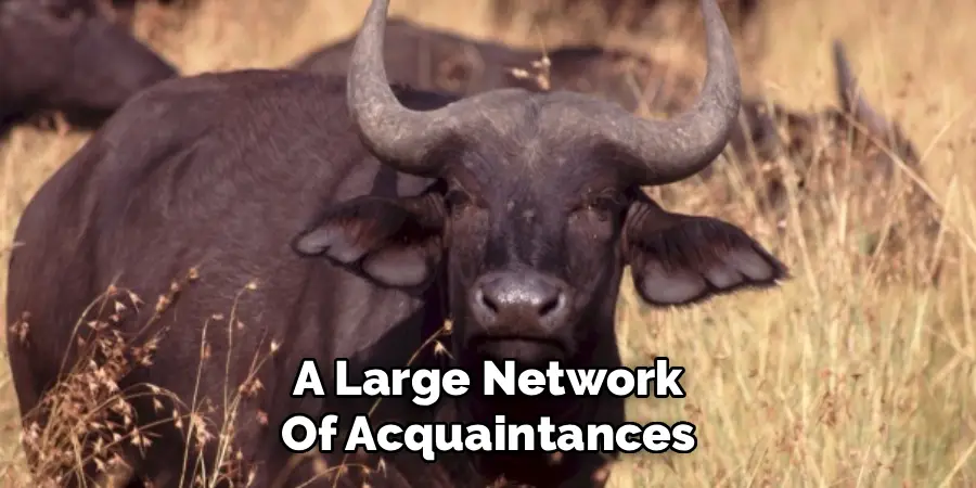 A Large Network
Of Acquaintances
