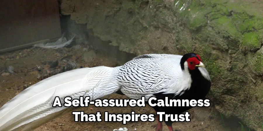A Self-assured Calmness
That Inspires Trust