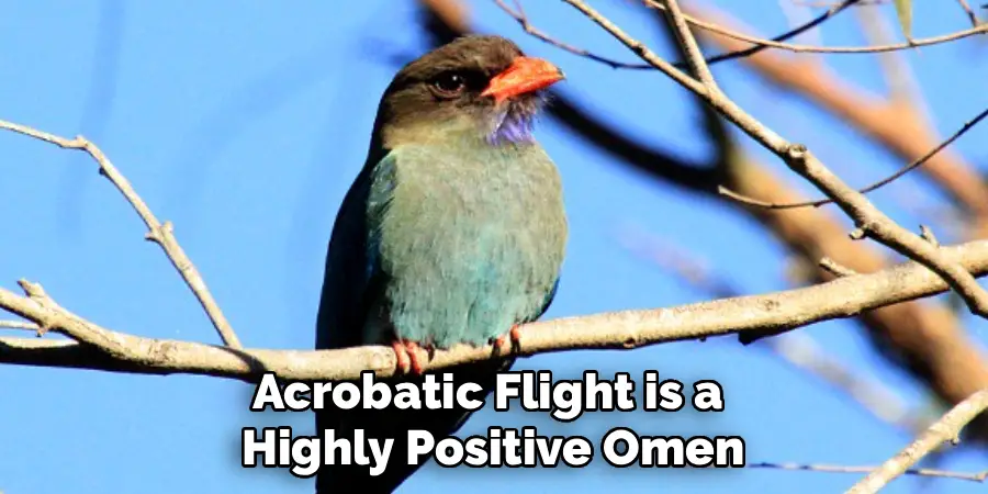 Acrobatic Flight is a 
Highly Positive Omen