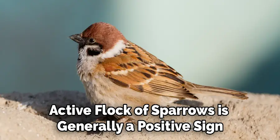 Active Flock of Sparrows is
Generally a Positive Sign