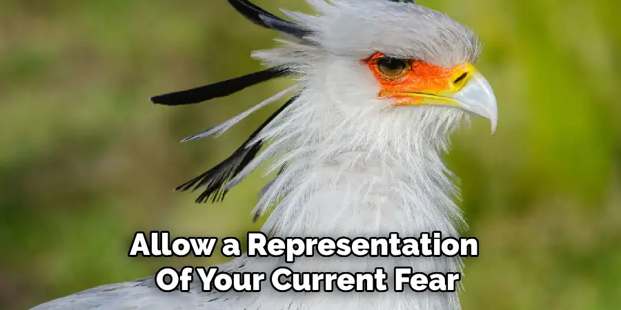 Allow a Representation 
Of Your Current Fear