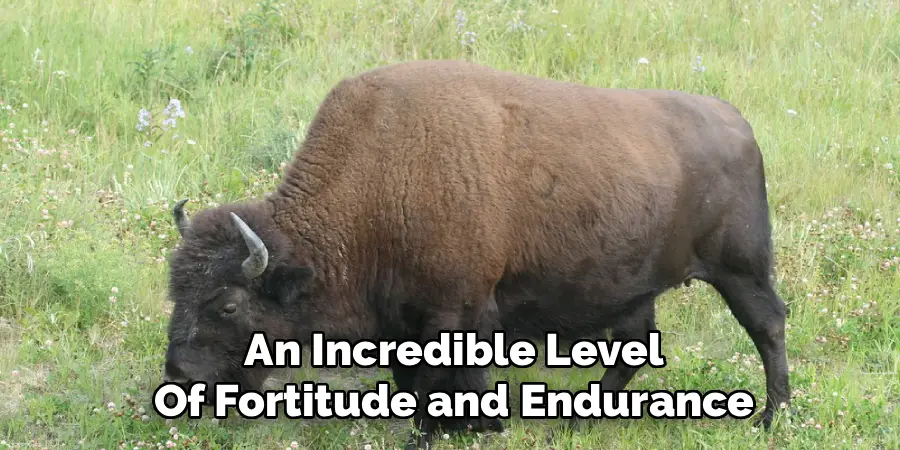 An Incredible Level
Of Fortitude and Endurance