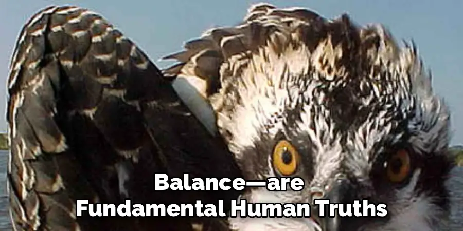 Balance—are
Fundamental Human Truths
