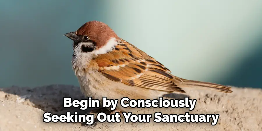 Begin by Consciously 
Seeking Out Your Sanctuary