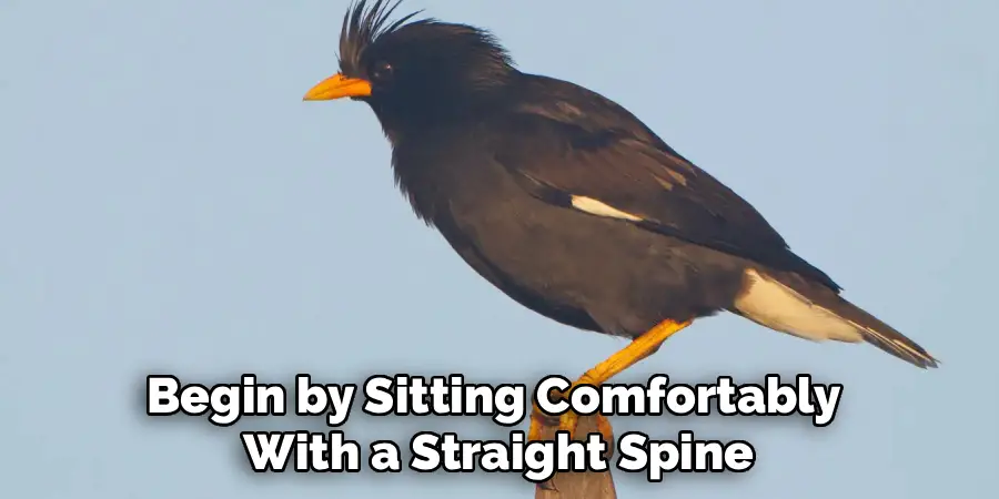 Begin by Sitting Comfortably 
With a Straight Spine