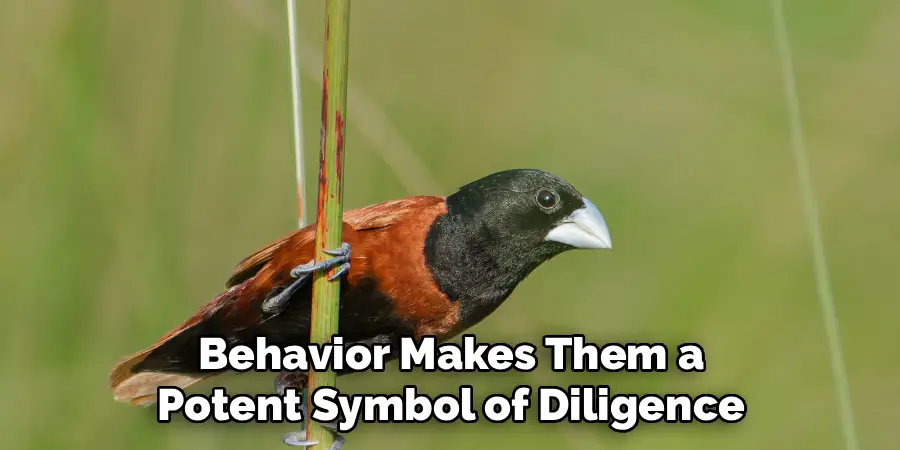 Behavior Makes Them a
Potent Symbol of Diligence