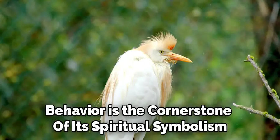 Behavior is the Cornerstone Of Its Spiritual Symbolism