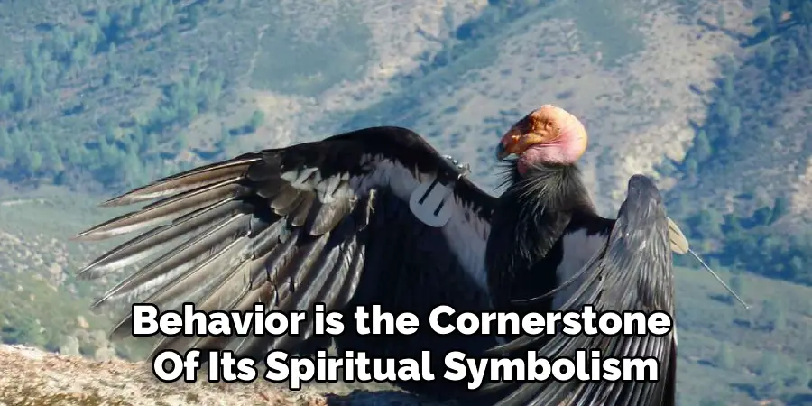 Behavior is the Cornerstone
Of Its Spiritual Symbolism