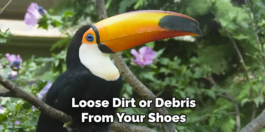 Birds Are Viewed as
Messengers Between the Earth