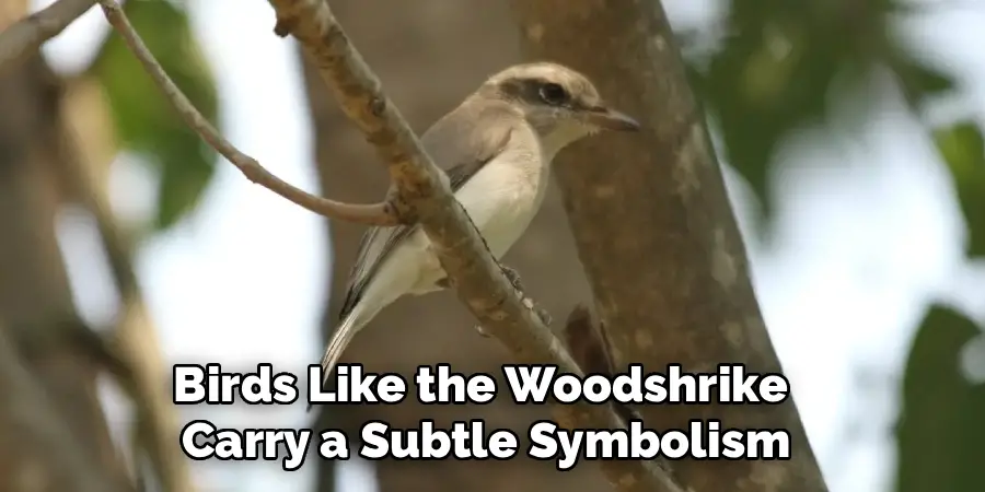 Birds Like the Woodshrike
Carry a Subtle Symbolism