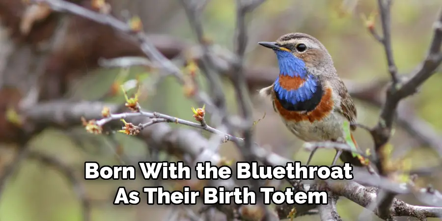 Born With the Bluethroat
As Their Birth Totem