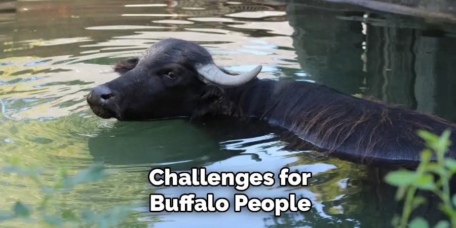 Challenges for Buffalo People