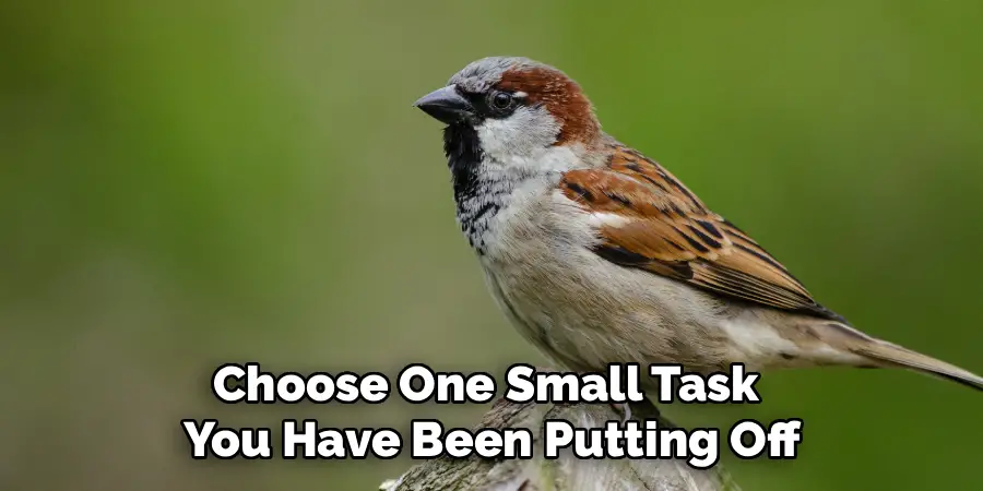 Choose One Small Task 
You Have Been Putting Off