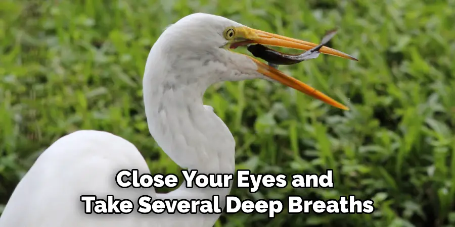 Close Your Eyes and
Take Several Deep Breaths