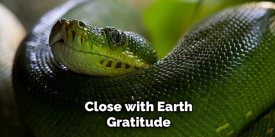 Close with Earth Gratitude