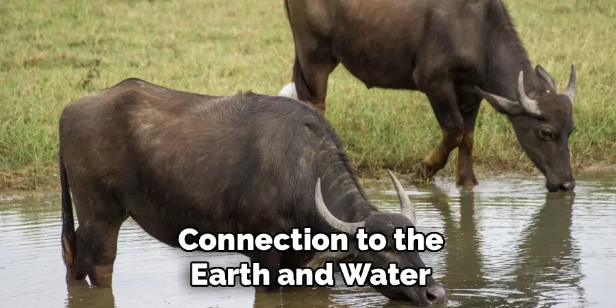 Connection to the Earth and Water
