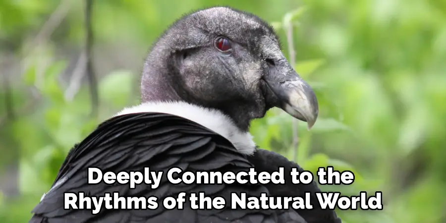 Deeply Connected to the
Rhythms of the Natural World