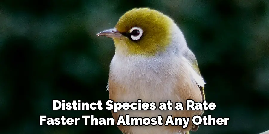 Distinct Species at a Rate 
Faster Than Almost Any Other 