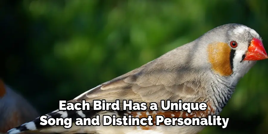 Each Bird Has a Unique 
Song and Distinct Personality