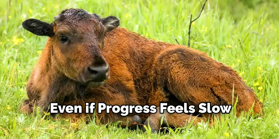 Even if Progress Feels Slow